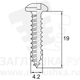 DIN7981-4.2x19 A2