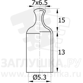 CAPM5,3