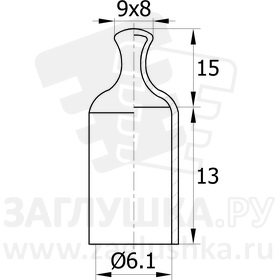 CAPM6,1